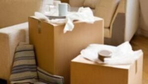 Packers and Movers from Mumbai to Finland