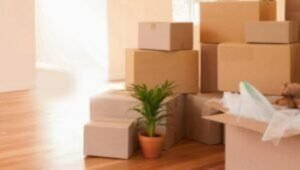Packers and Movers from Mumbai to Indonesia