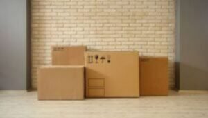 Packers and Movers from Mumbai to Russia