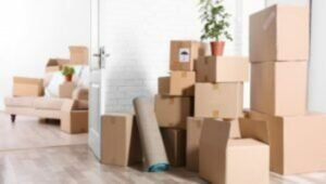 Packers and Movers from Mumbai to Singapore