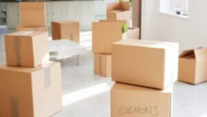 Packers and Movers from Mumbai to Sweden