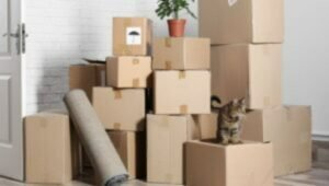 Packers and Movers in Navrangpura Ahmedabad