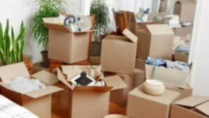 Packers and Movers in Nikol Ahmedabad