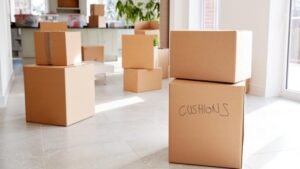 Packers and Movers in T Nagar Chennai