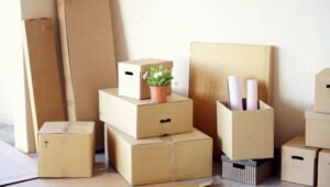 Packers and Movers in Satellite Ahmedabad