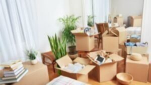 Packers and Movers from Ahmedabad to Italy