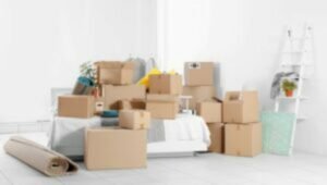 Packers and Movers from Ahmedabad to Netherlands