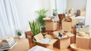Packers and Movers from Ahmedabad to USA